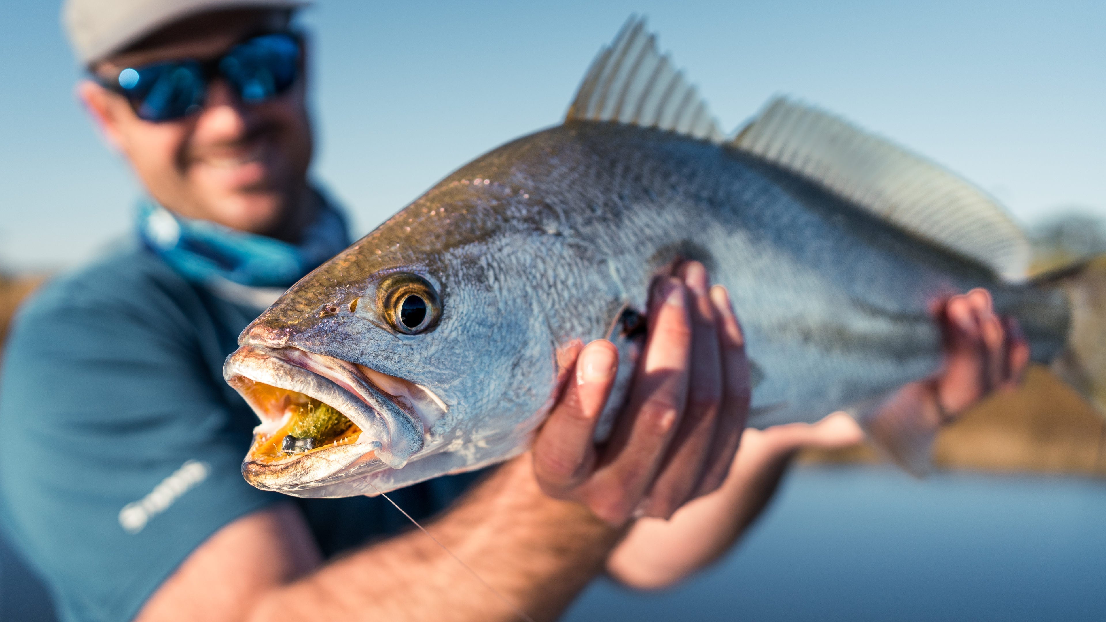 フライコレクションFISHING-FLIESCRAFTEDIN TRANSKEI Best Saltwater Flies Reviewed | Manic Fly Collection