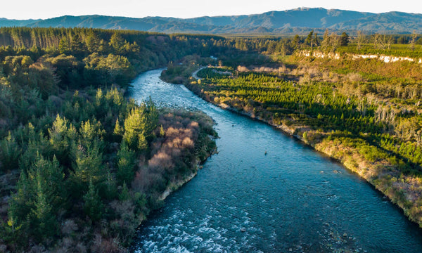Beginner Tips for Fly Fishing in the Taupo Region