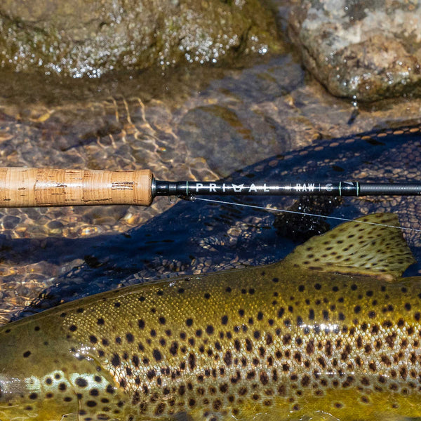 fly-fishing-rod-comparison-