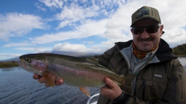 John Horsey's New Zealand Adventures