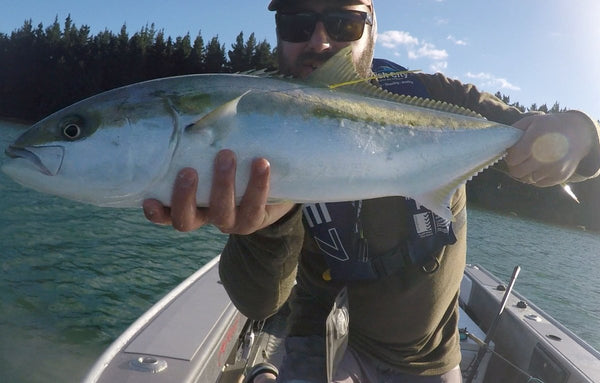 Salty Saturday - King Tide Salt Fly update