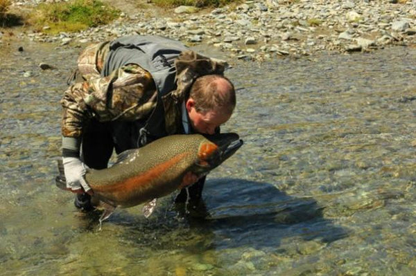 Monster Wild Rainbow Caught