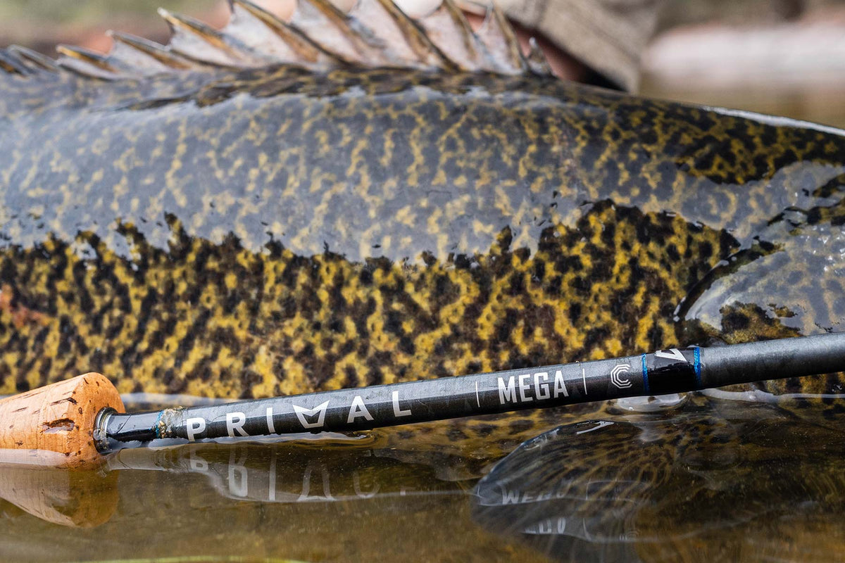 Primal Mega CCC fly rod being tested for Murray cod and GT fishing in Australia