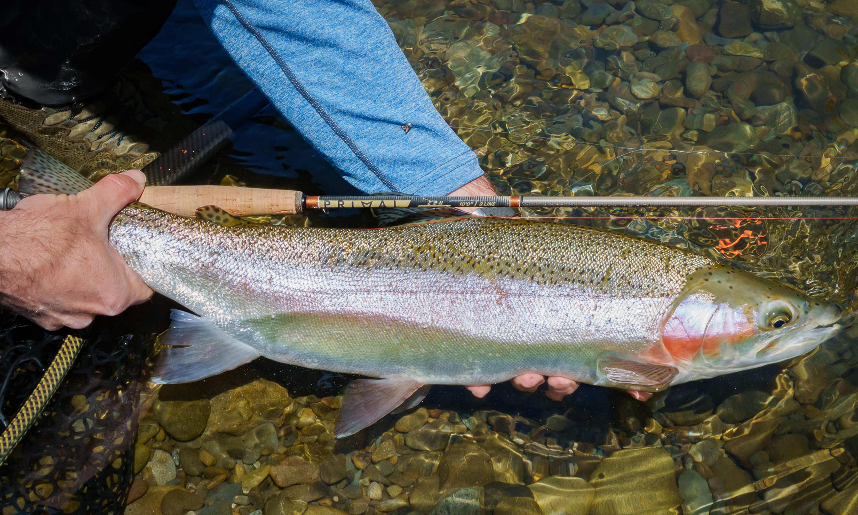 Primal Zen Fly Fishing Rod Review by Johan Kok Manic Tackle Project