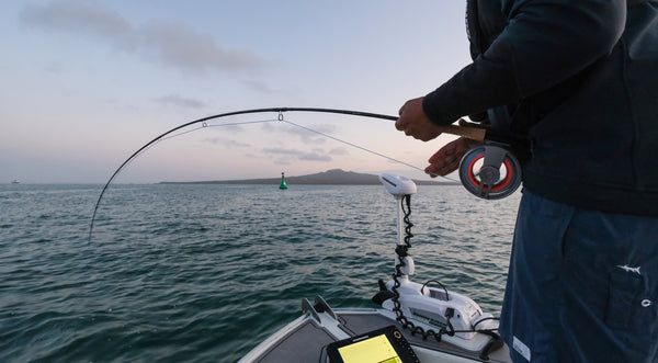 Auckland Saltwater Fly Fishing - A How To Video