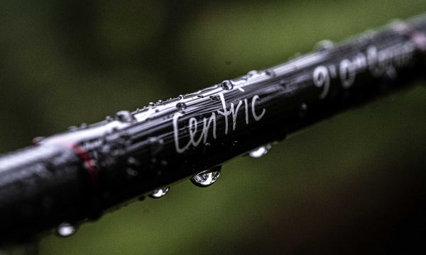 Scott Centric Fly Fishing Rod | Review