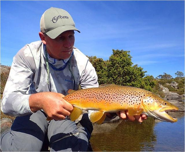 Team Tuesday - Tasmania at a Glance