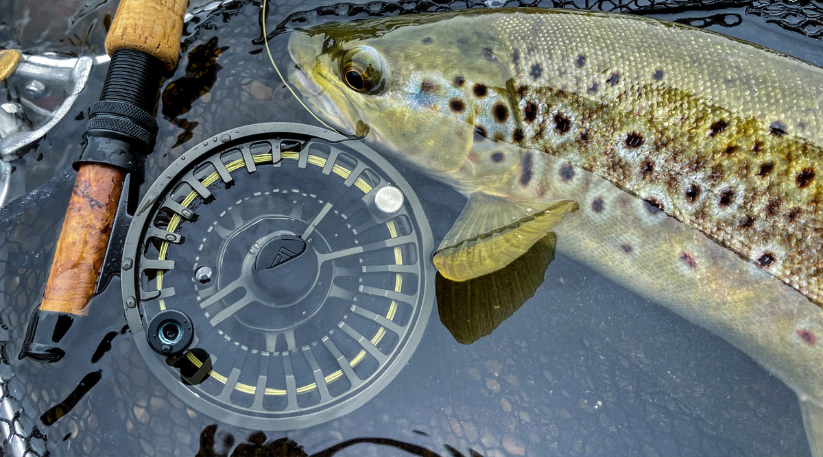 FlyLab Reels