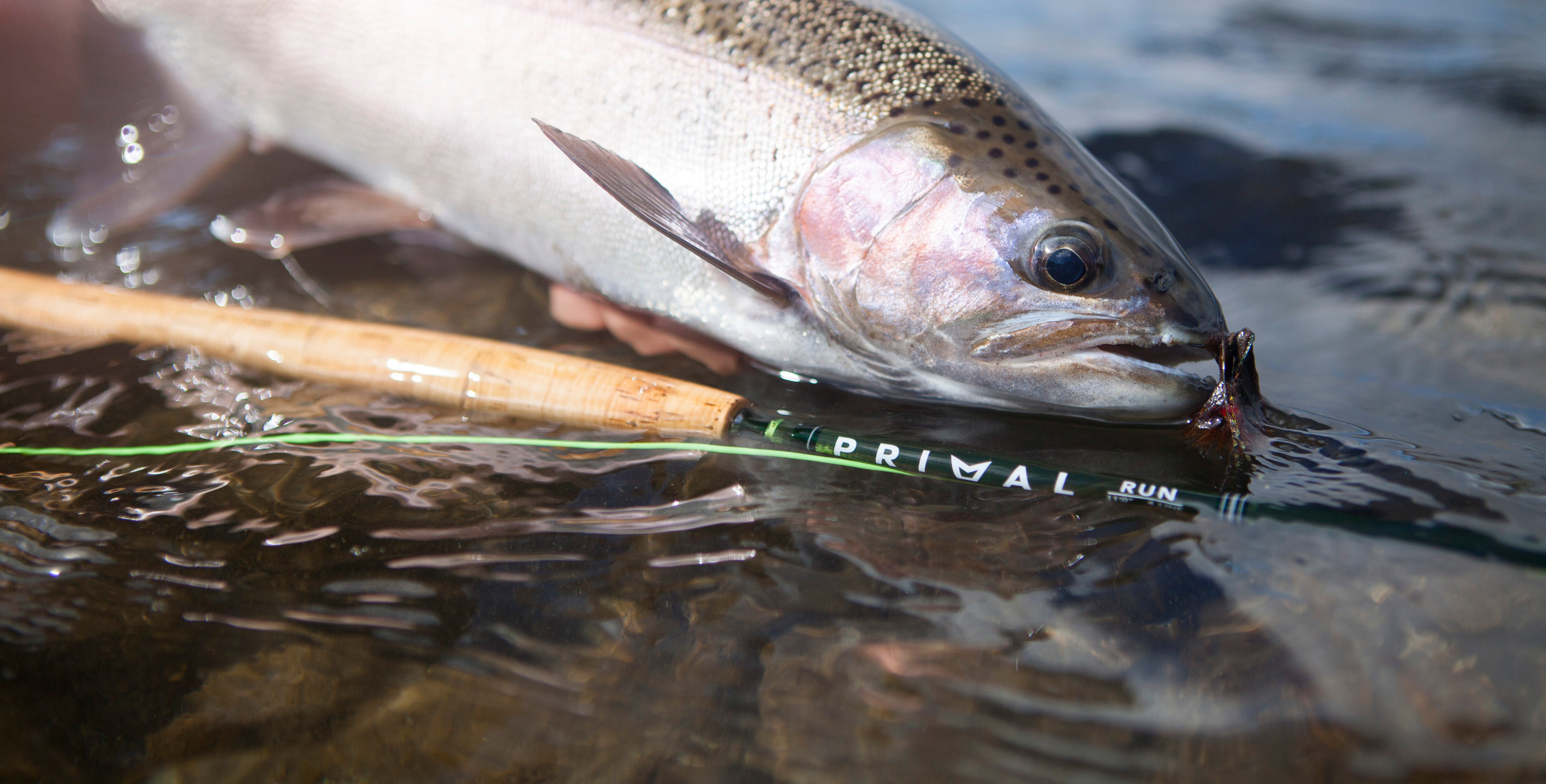Primal Two Handed Fly Rods – Manic Tackle Project