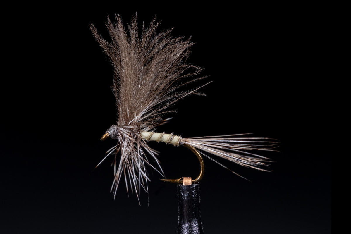 CDC Thorax Dun Grey Fishing Fly | Manic Fly Collection