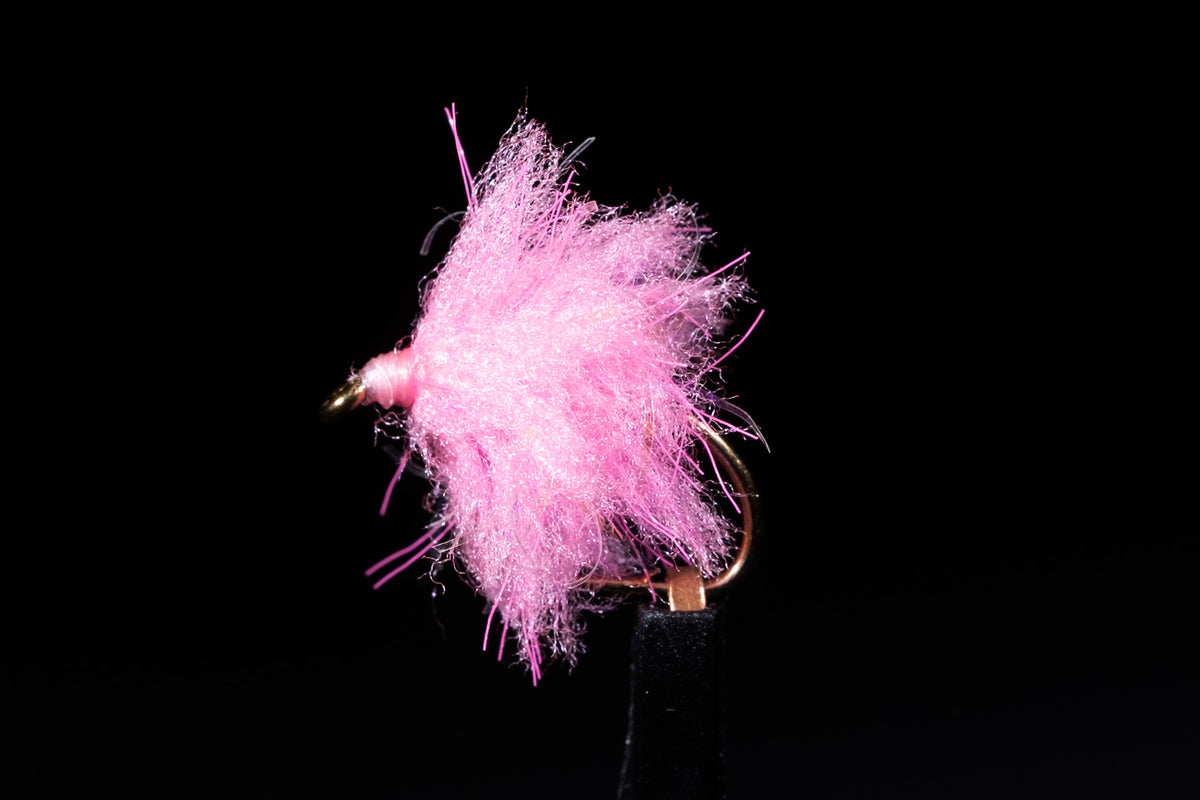 Eggstasy Egg Fl Shrimp Pink Fishing Fly | Manic Fly Collection