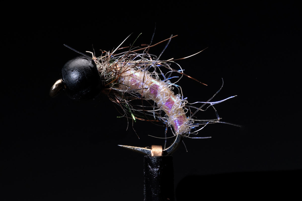 Flash Caddis - Cream Slotted Tungsten Fishing Fly | Manic Fly Collection
