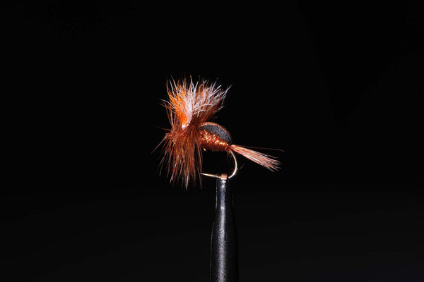Hyper Humpy Brown Beetle Fishing Fly | Manic Fly Collection