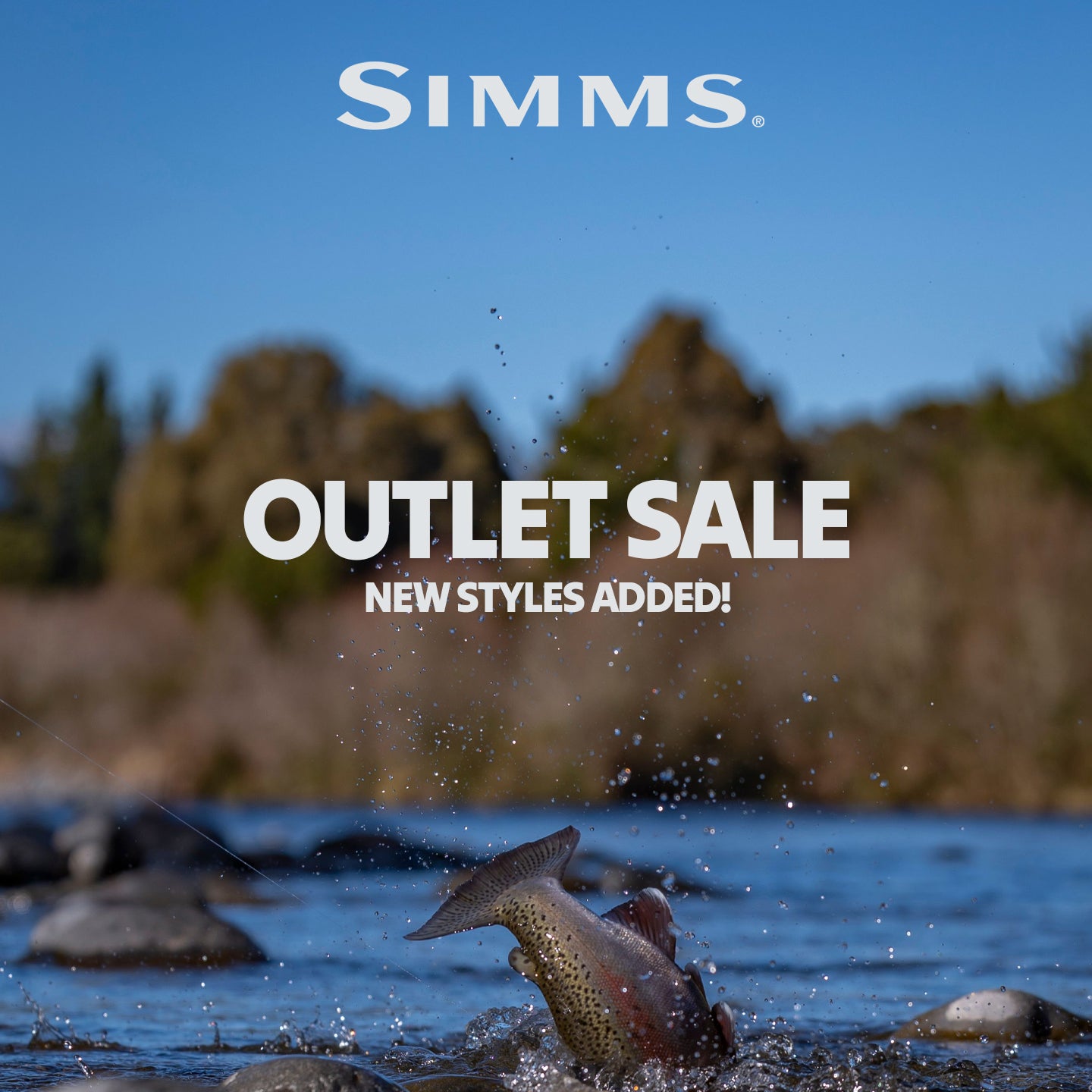 Simms | Cardwell Range