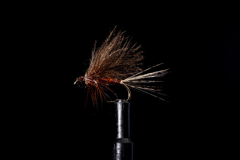 CDC Thorax Dun Dark Fishing Fly | Manic Fly Collection