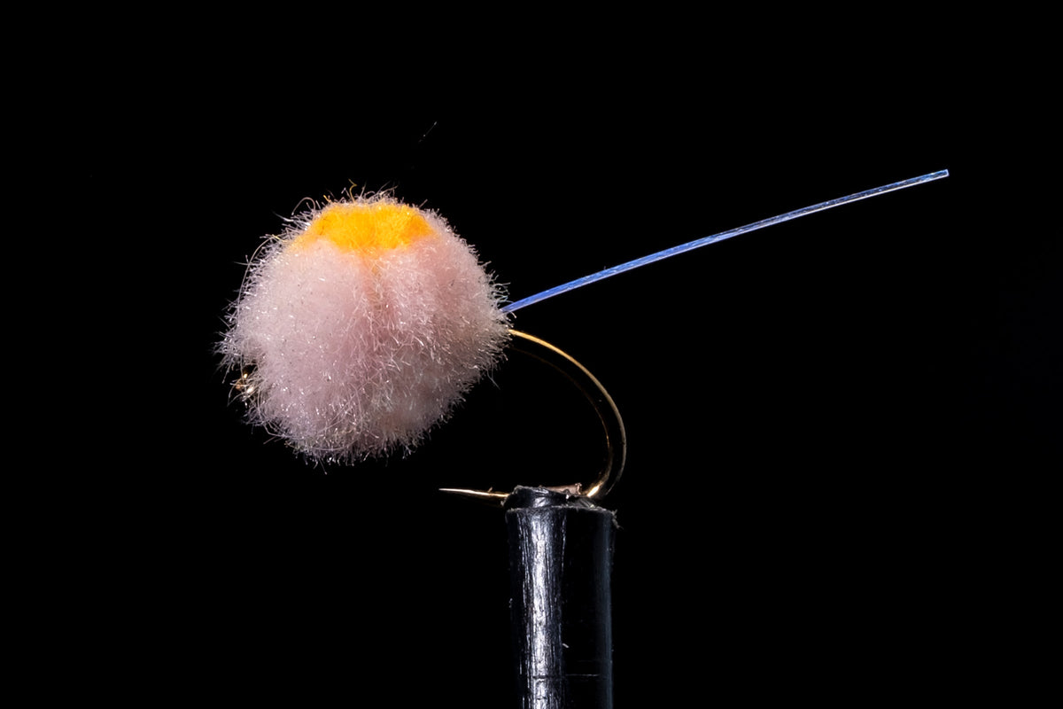 Flashtail Glo Bug Champagne Fishing Fly | Manic Fly Collection