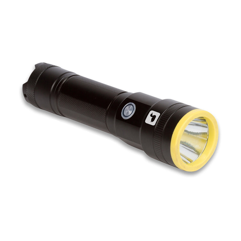 Loon Fly Fishing UV Plasma Light