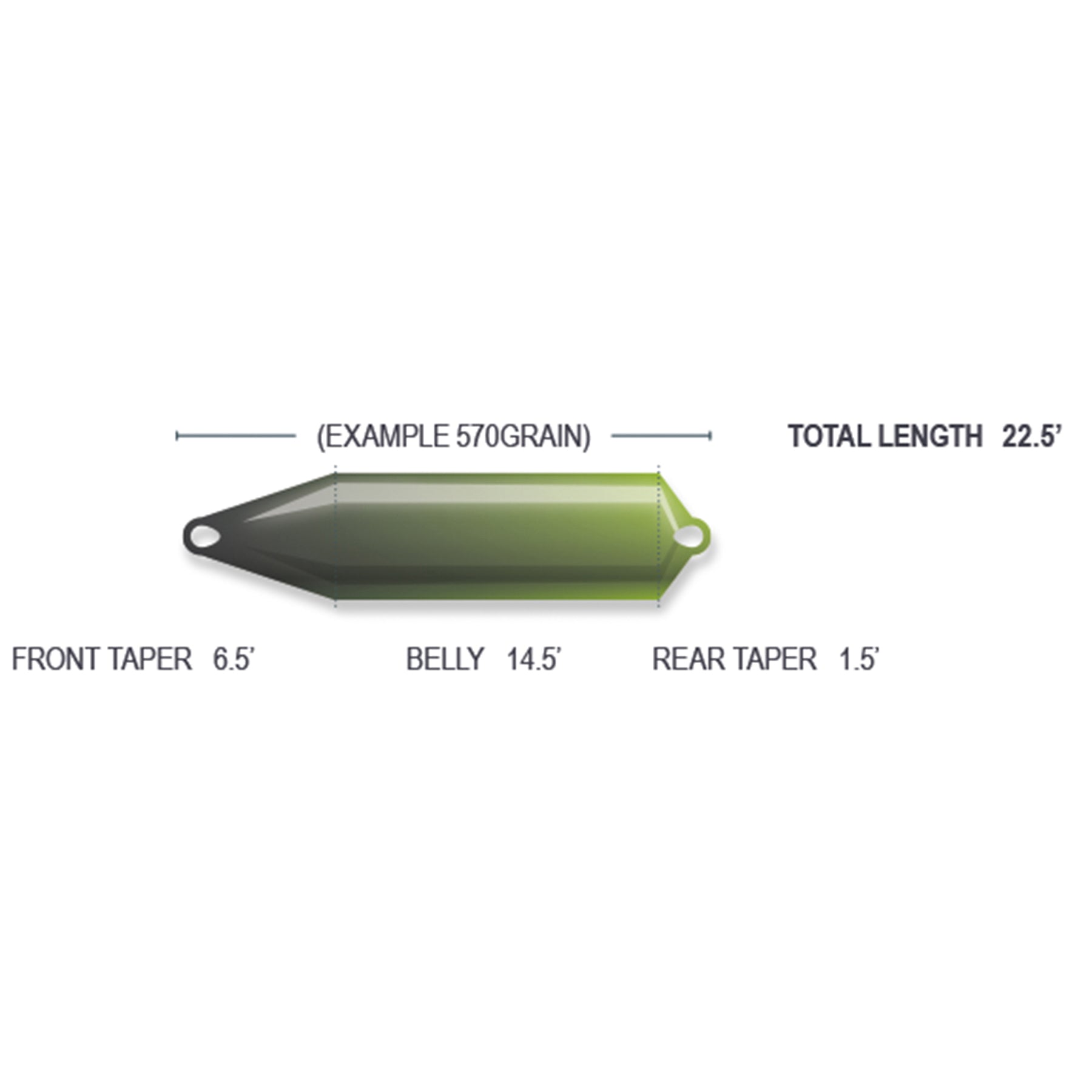 Airflo Fly Fishing Skagit Compact F.I.S.T Head