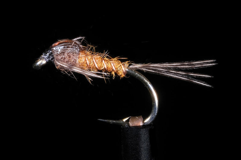 Manic Fly Collection Assassin Brown