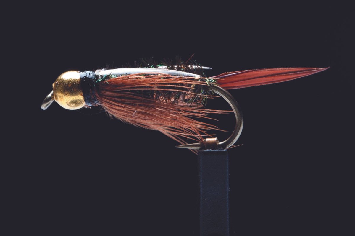 BH Prince | Manic Fly Collection