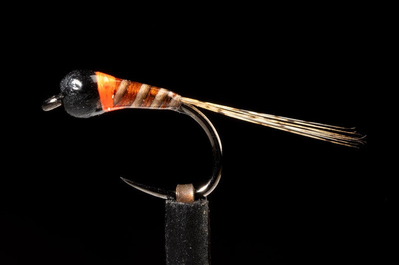 BTB Perdigon Quill | Manic Fly Collection