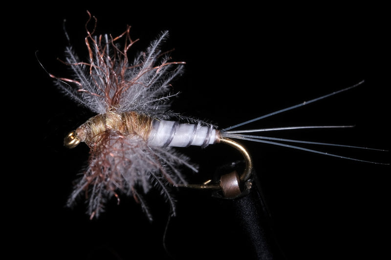 Callibaetis Biot Spinner | Manic Fly Collection