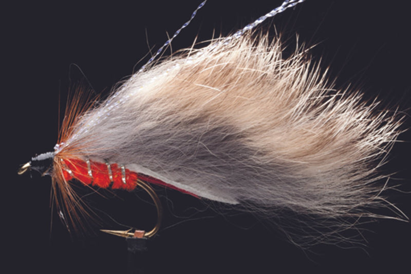 Classie Rabbit Orange | Manic Fly Collection