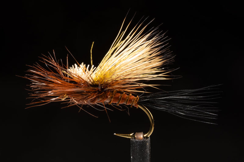 Kyle's Coloboriscus | Manic Fly Collection