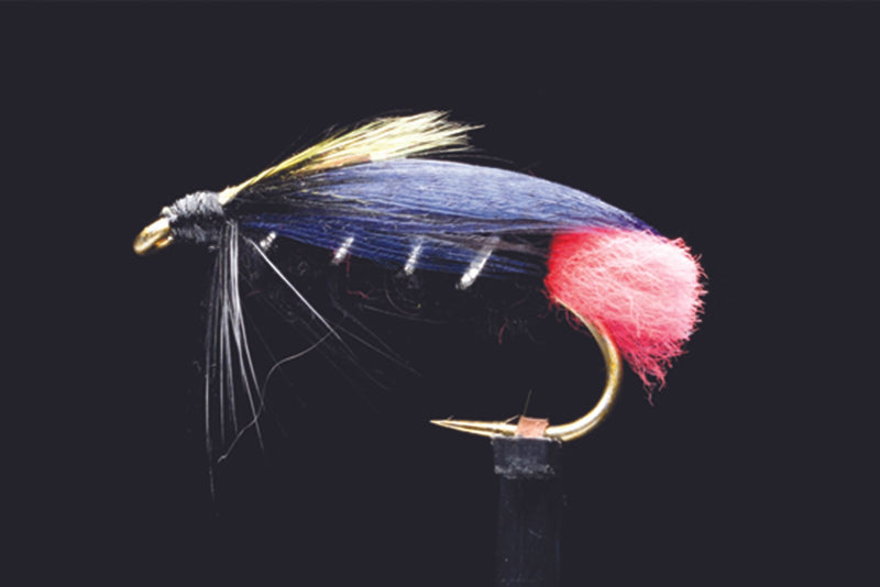 Craig's Night Time | Manic Fly Collection