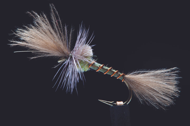 CDC Baetis Cripple | Manic Fly Collection