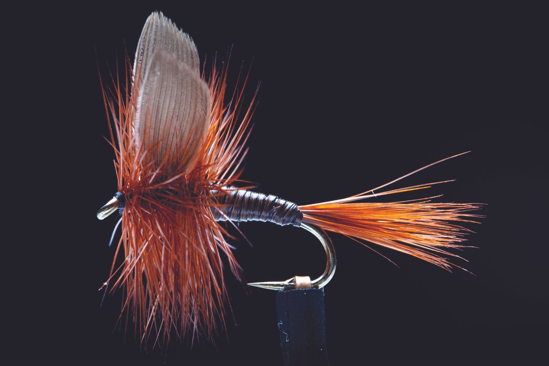 Dad's Favourite Fishing Fly | Manic Fly Collection – Manic Tackle Project