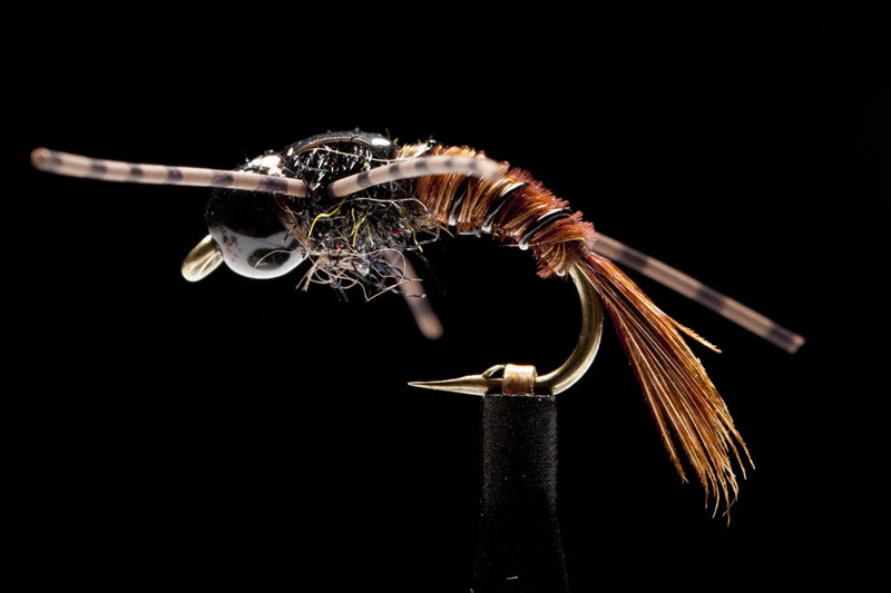 Davis' BC Stonefly PT | Manic Fly Collection