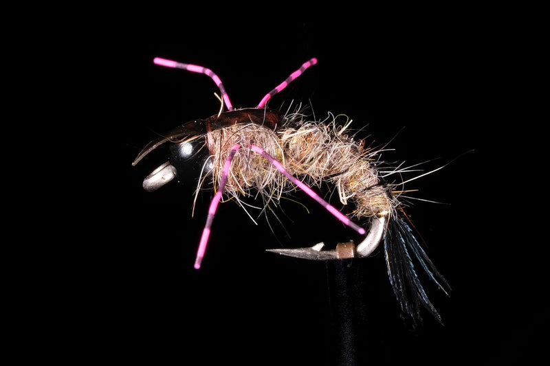 Davis' BC Stonefly Black | Manic Fly Collection