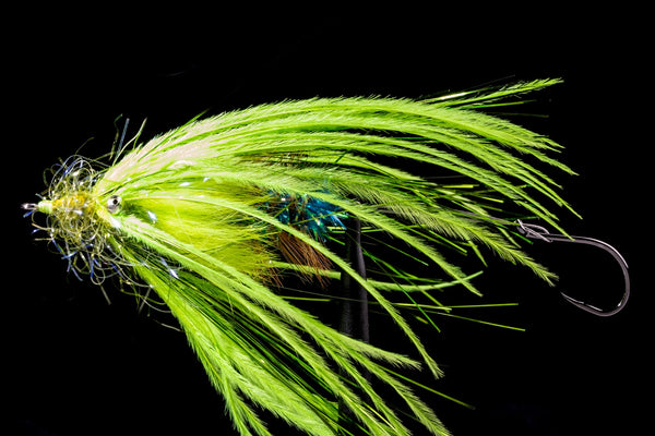 Fish Taco Chartreuse | Manic Fly Collection