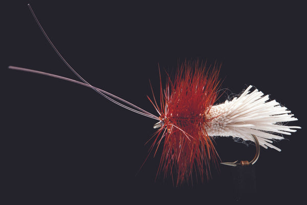 Goddard's Caddis | Manic Fly Collection