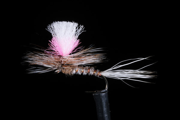 Guide Chute | Manic Fly Collection
