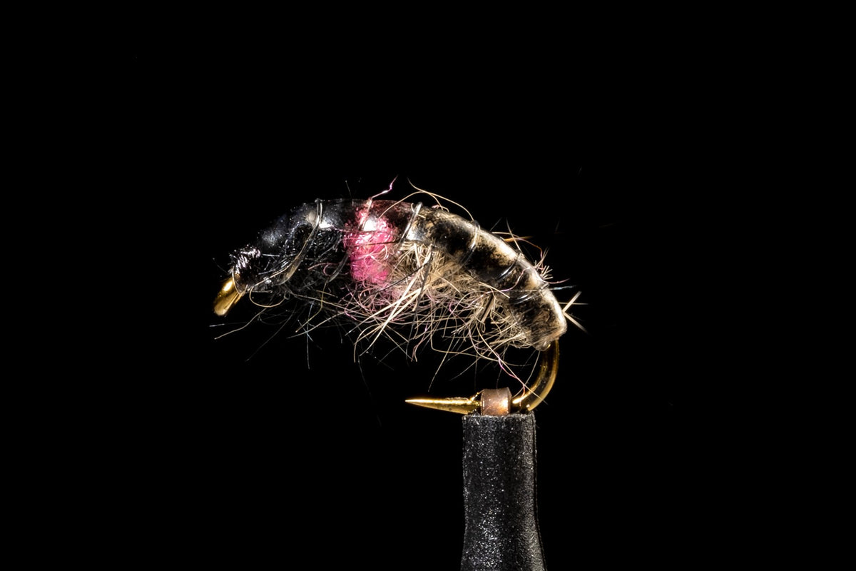 Hot Spot Czech Nymph Caddis Tan/Pink | Manic Fly Collection