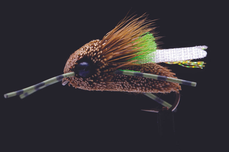 Kiwi Cicada | Manic Fly Collection