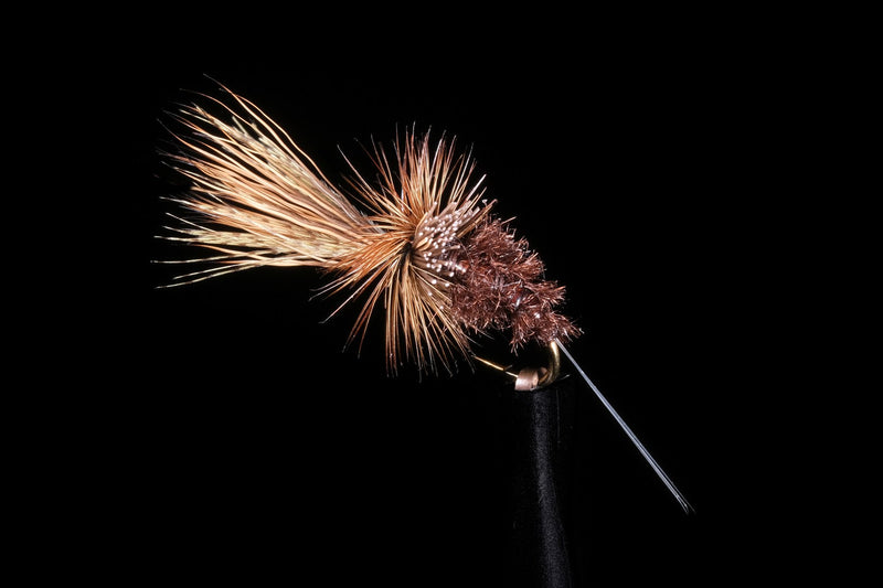 Kyle's Coloboriscus Emerger | Manic Fly Collection