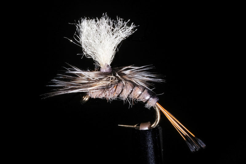 Kyle's Nesameletus Emerger | Manic Fly Collection