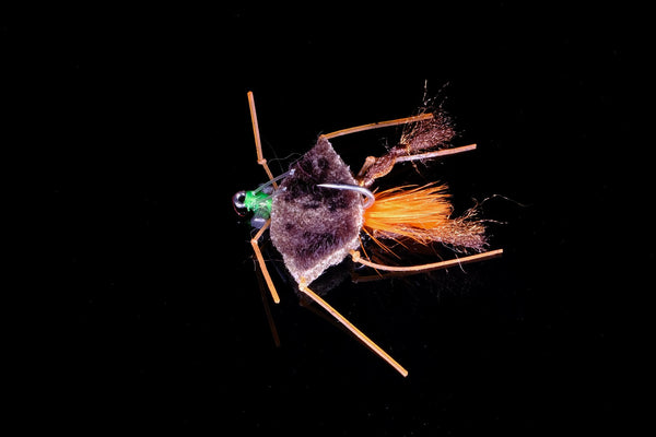 Palomenta Crab Brown | Manic Fly Collection