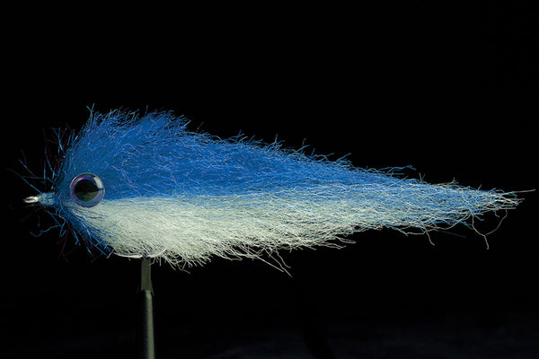 Lucent Minnow Blue/White | Manic Fly Collection