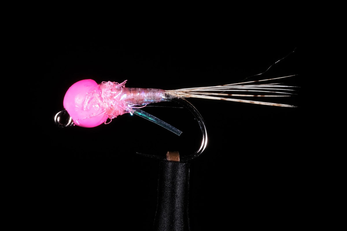 PTB Perdigon | Manic Fly Collection