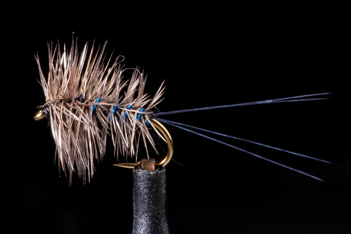 Palmered Spinner Brown | Manic Fly Collection
