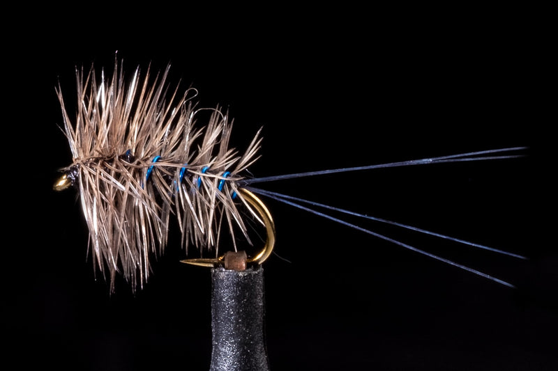 Palmered Spinner Brown | Manic Fly Collection