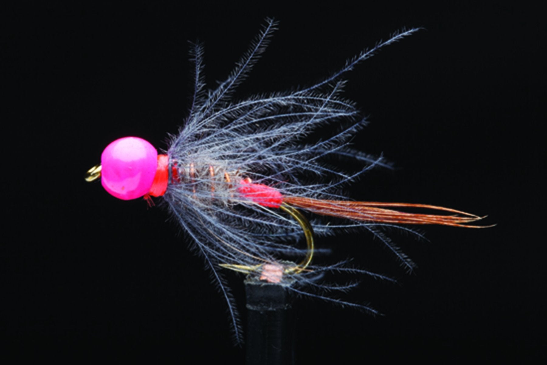 Pink Nosebleed Fishing Fly Manic Fly Collection Manic Tackle Project