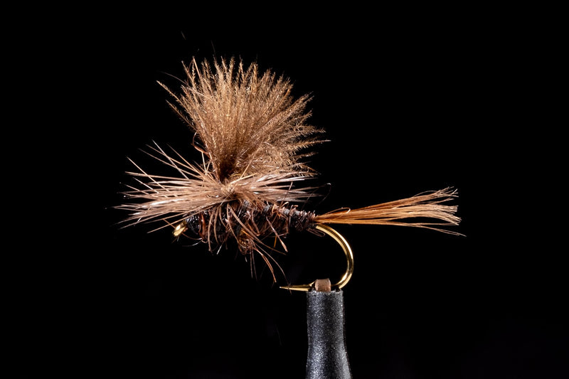 Possum Dun Brown | Manic Fly Collection