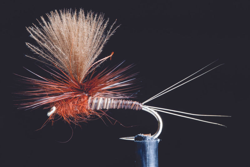 Quill Spinner Brown | Manic Fly Collection