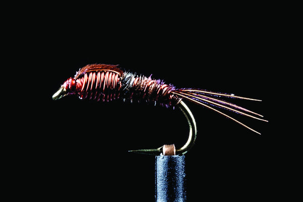 Sawyers Pheasant Tail | Manic Fly Collection
