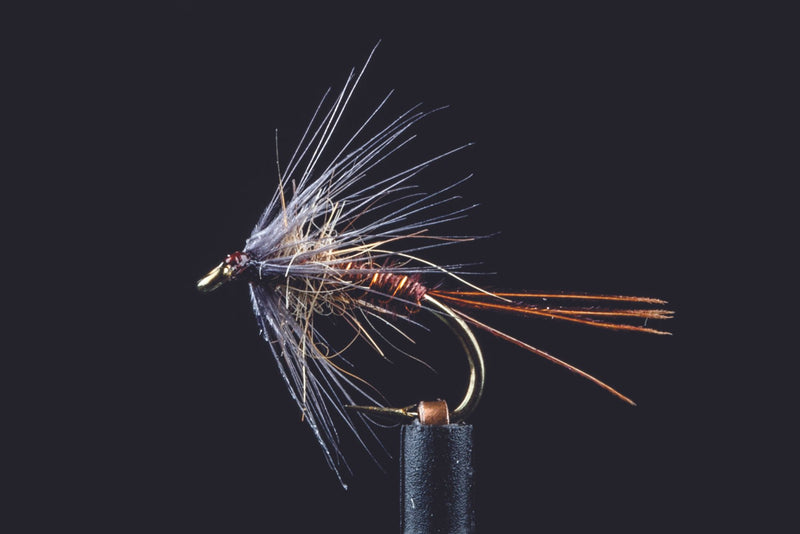 Soft Hackle Pheasant Tail | Manic Fly Collection